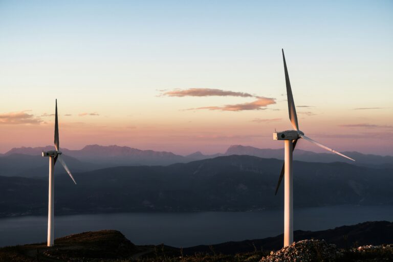 Les éoliennes en Allemagne : un vent favorable à la transition énergétique ?