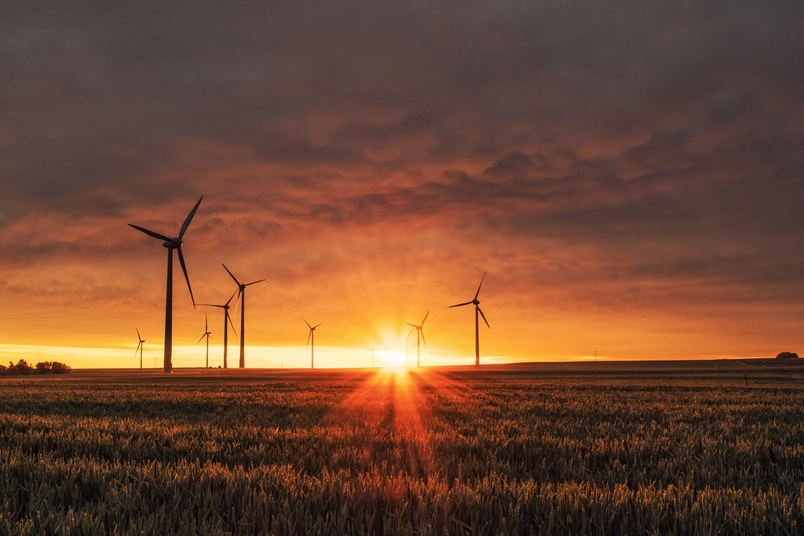 découvrez les avantages de l'énergie éolienne et son impact sur l'environnement. informations sur la production, l'utilisation et l'avenir de l'énergie éolienne.